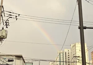 무지개 사진