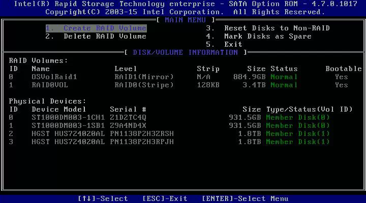 RAID 볼륨 2개가 생성된 모습