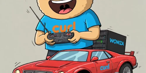 Wowza controled by Curl