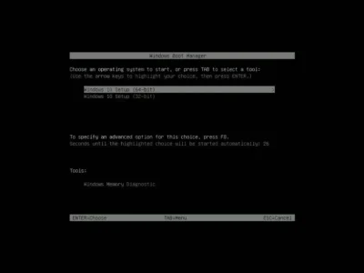 14 USB WIN10 BOOT 윈도우10 설치 버전 선택 화면